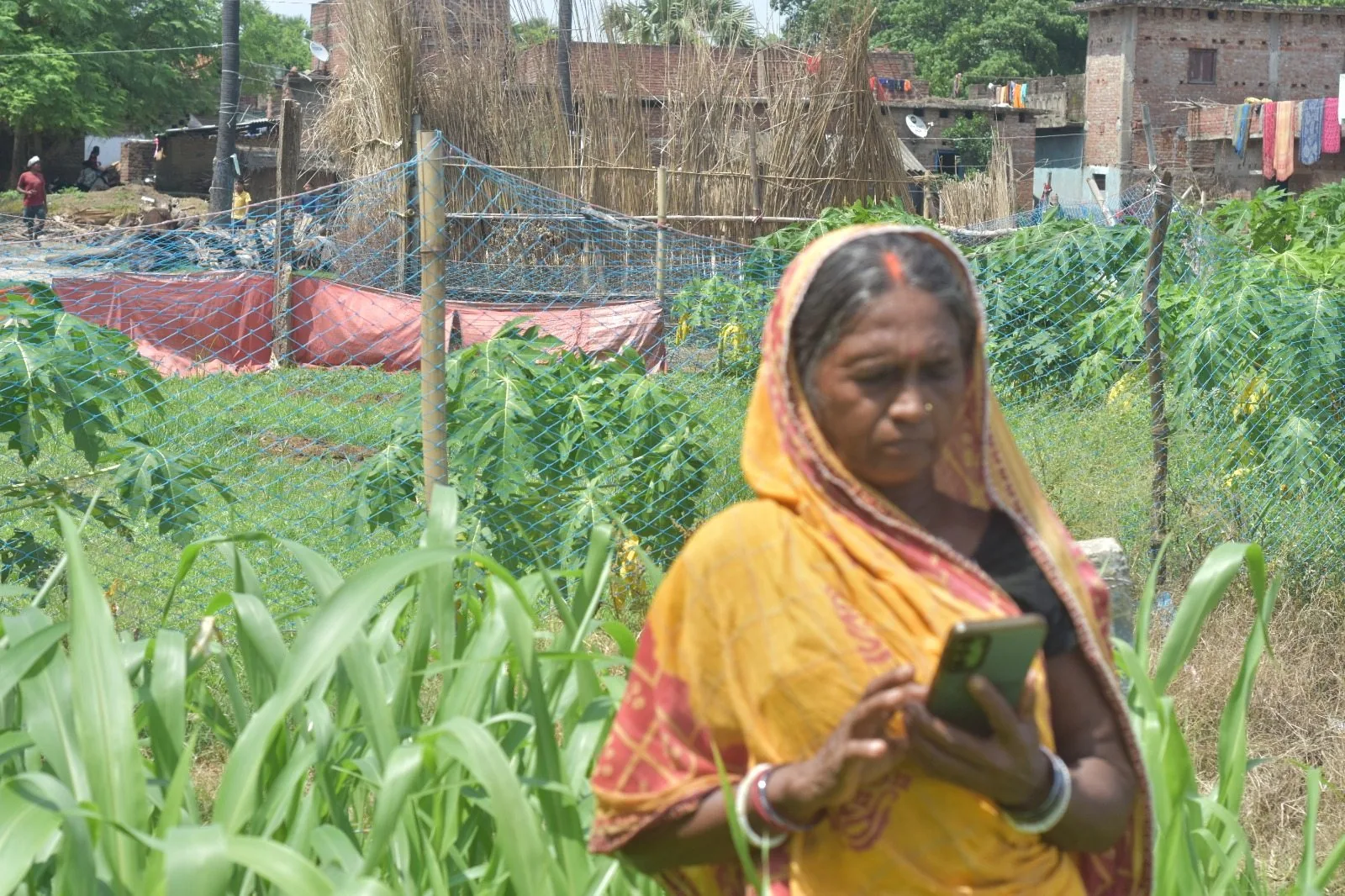 A woman using a smartphone beside crops in a village