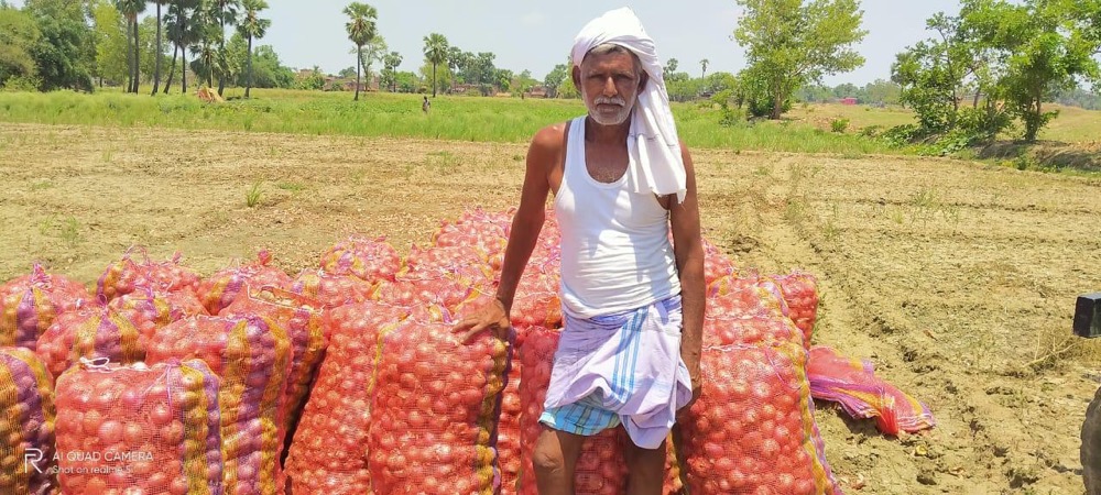Onion Farming & Storage — programme photograph